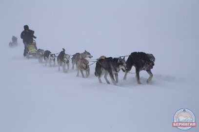 Фото: Виктор Гуменюк